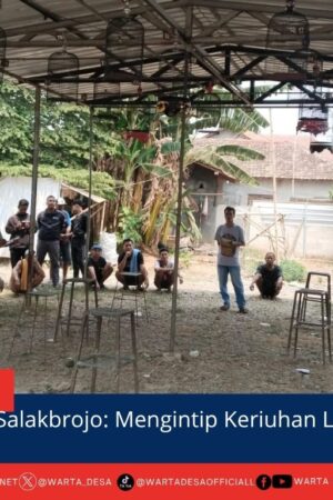 berita web(2)
