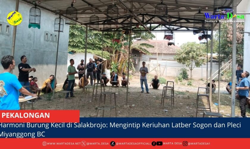 berita web(2)