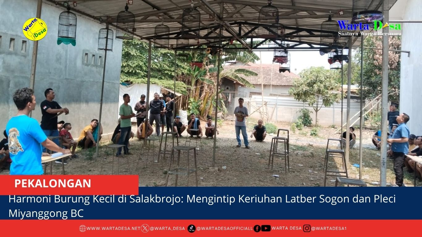 berita web(2)