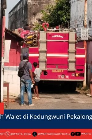 berita web(2)