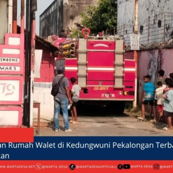 berita web(2)