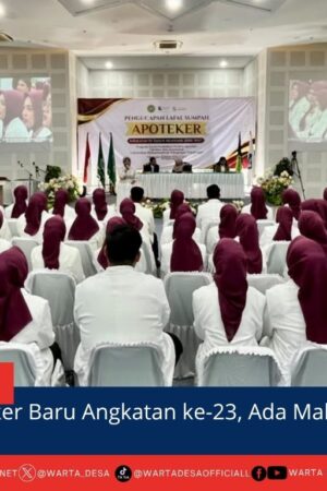 berita web(2)