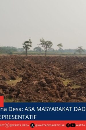 berita web(3)