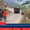 berita web(3)