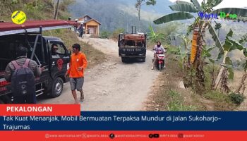 berita web(3)