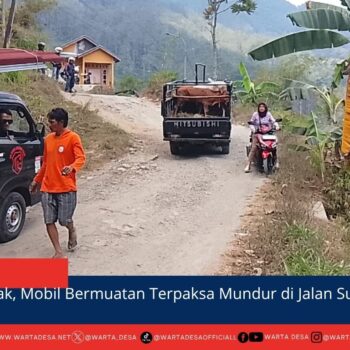 berita web(3)