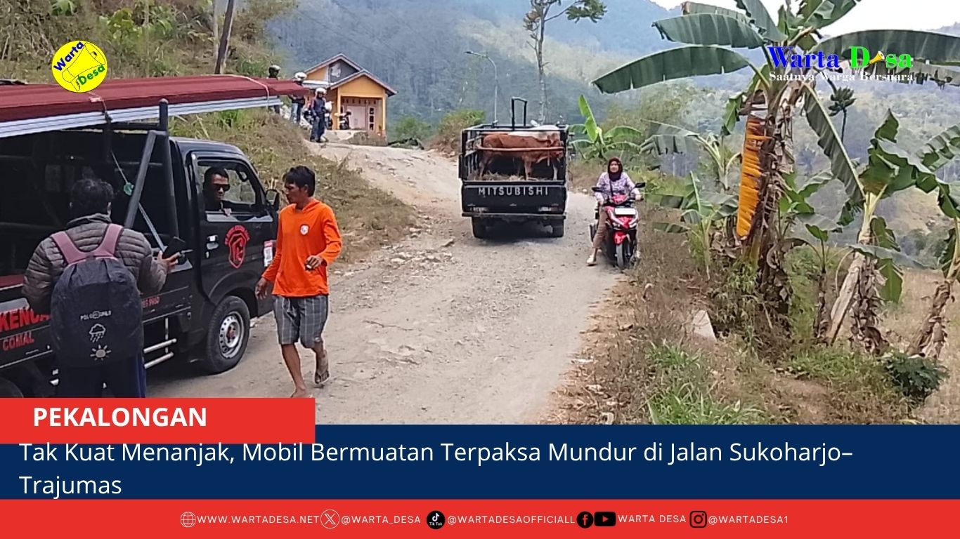 berita web(3)