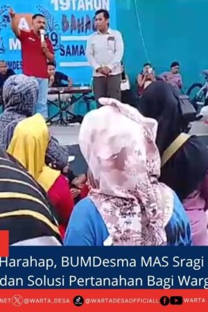 berita web(3)