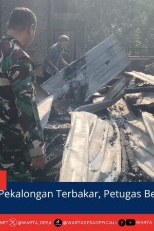 berita web(3)