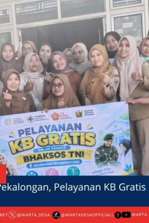 berita web(4)