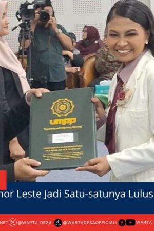 berita web(4)