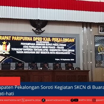 berita web(5)