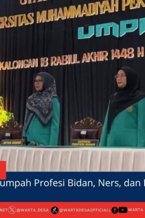 berita web(5)