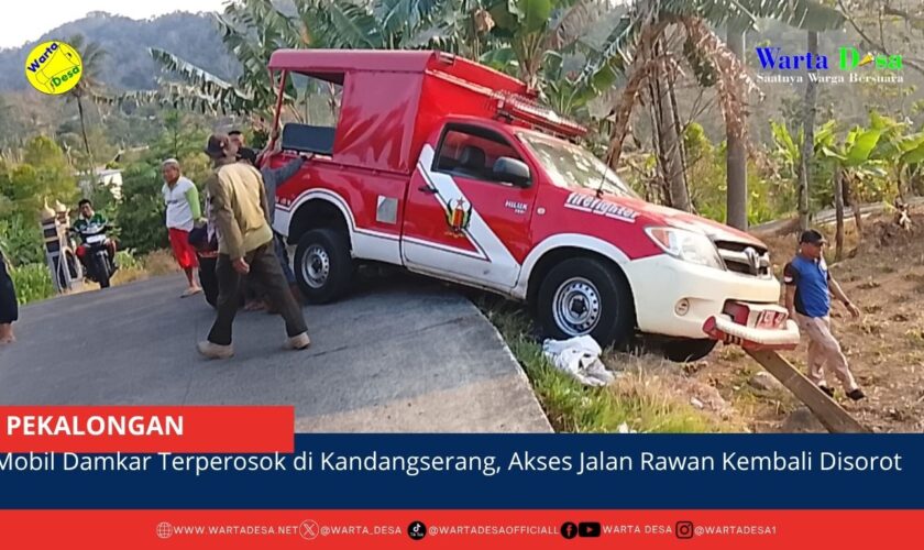 berita web(6)