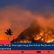 berita web(7)