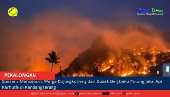 berita web(7)