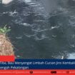 berita web(8)