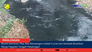 berita web(8)