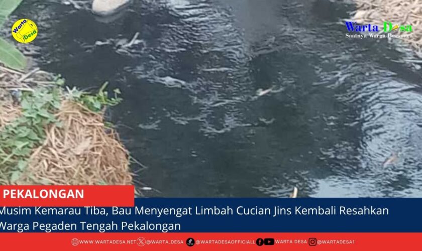 berita web(8)