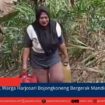 berita web(9)