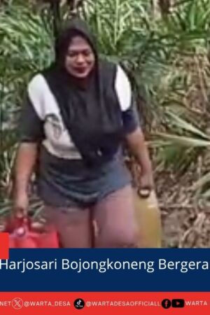 berita web(9)
