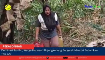 berita web(9)
