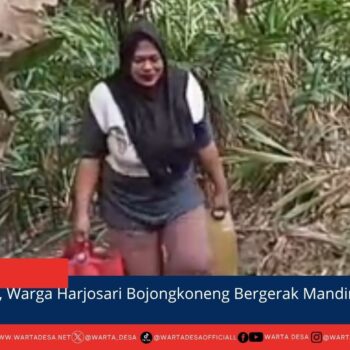 berita web(9)