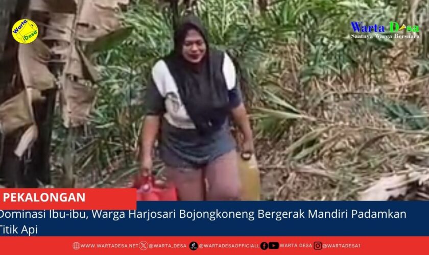 berita web(9)
