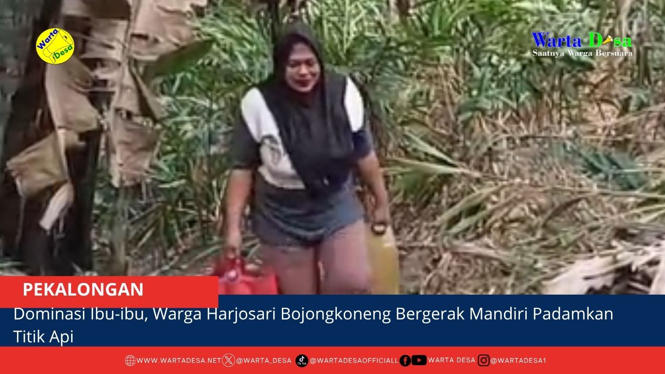 berita web(9)