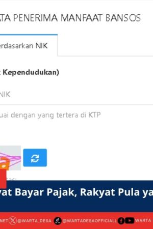 berita web(9)