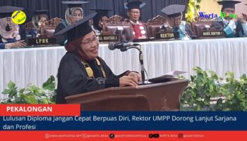 berita web