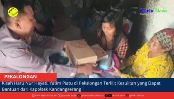 berita web