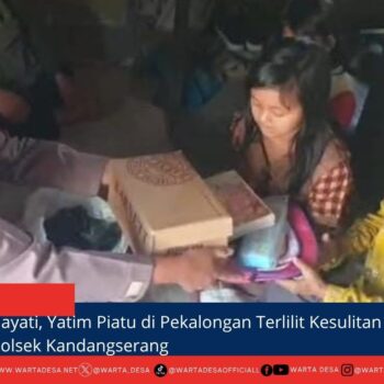 berita web