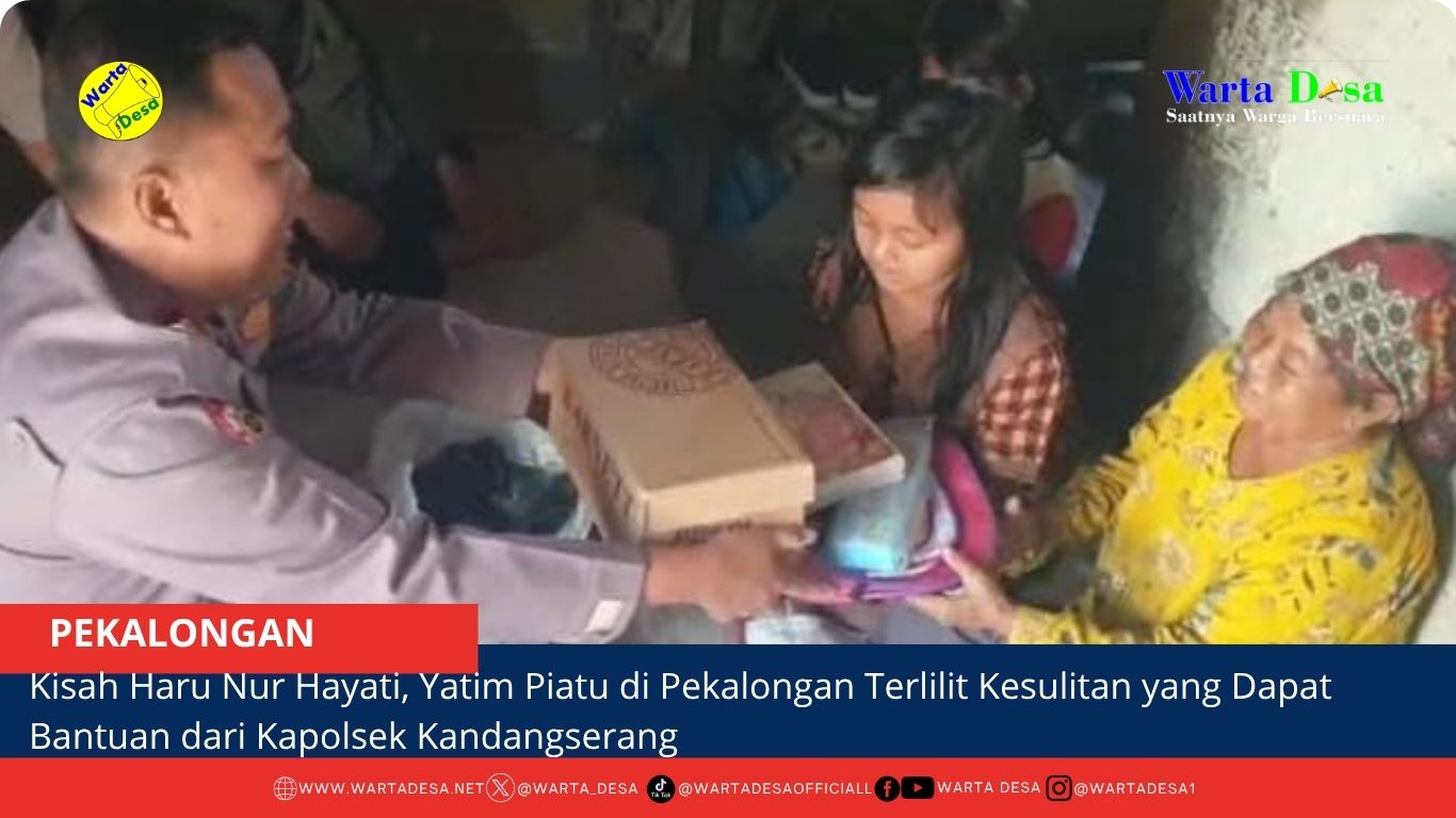berita web