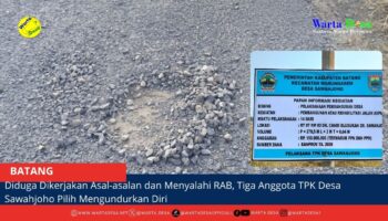 berita web