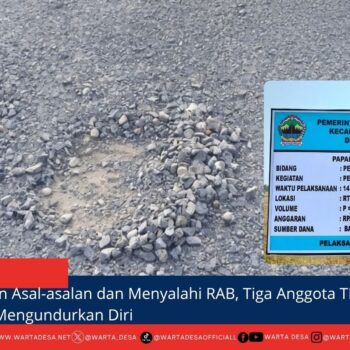 berita web