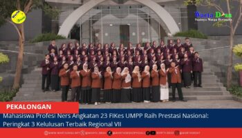 berita web