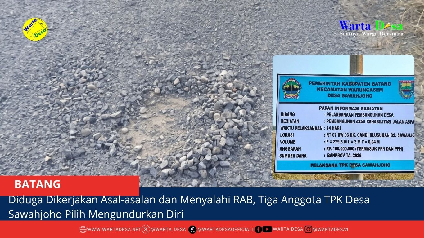 berita web