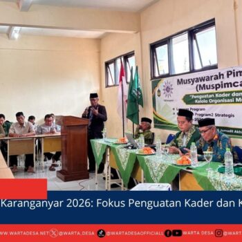 berita web(1)