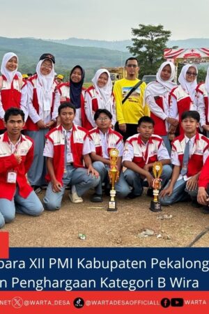 berita web(1)