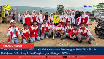berita web(1)