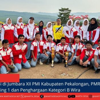 berita web(1)