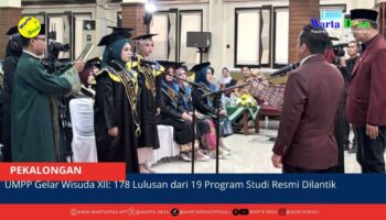 berita web(11)