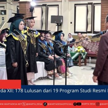 berita web(11)