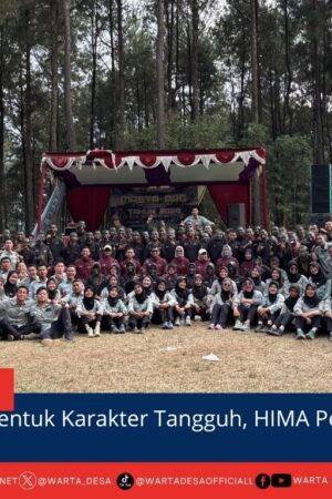 berita web(2)