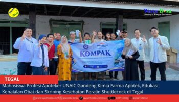 berita web(2)