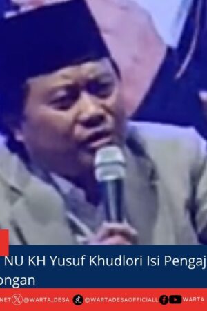 berita web(2)