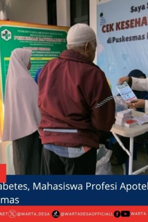 berita web(3)