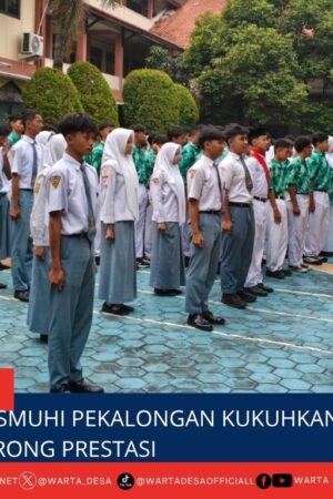 berita web(5)