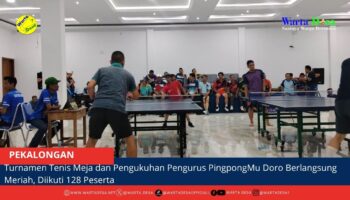 berita web(6)